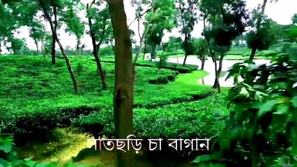 সাতছড়ির জঙ্গলে পথ হারিয়ে ফেললাম || Satchori Tour || Vlog-3 || Nishat Nisho || Bangladeshi Traveler