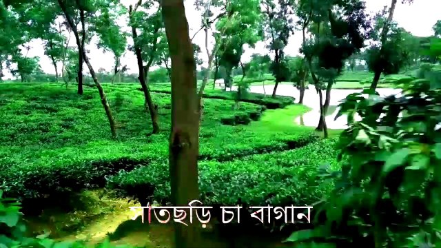 সাতছড়ির জঙ্গলে পথ হারিয়ে ফেললাম || Satchori Tour || Vlog-3 || Nishat Nisho || Bangladeshi Traveler