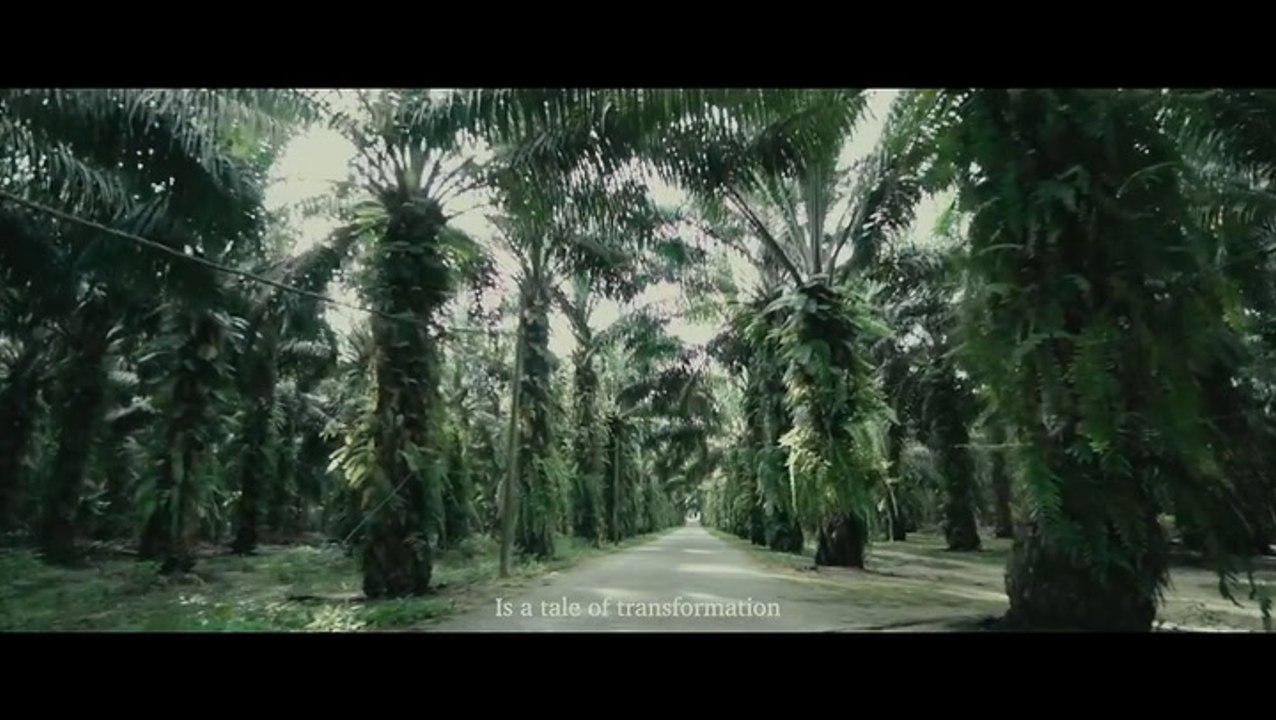 Mangala Resort Video