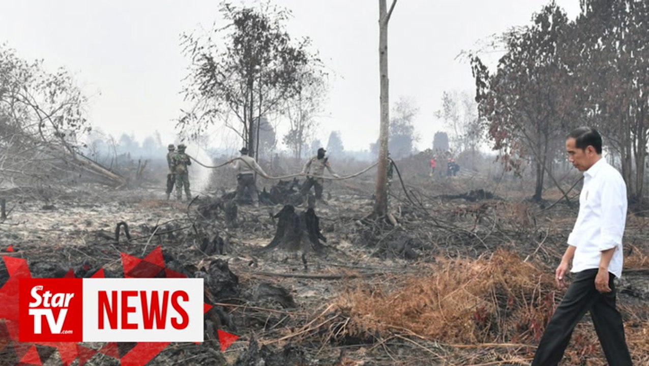 Jokowi inspects burnt forests, calls for investigation