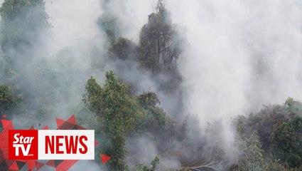 Official API readings no direct correlation with visibility range, says DPM