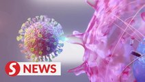 Explainer: How the coronavirus (SARS-CoV-2) infects human cells