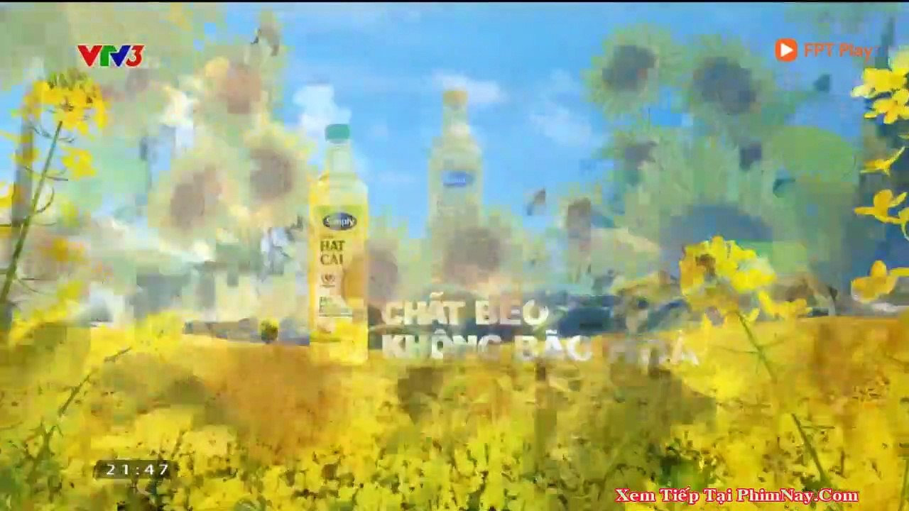 catdo4-1906081204768