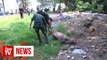 Wild boars running wild in Melaka, says Perhilitan