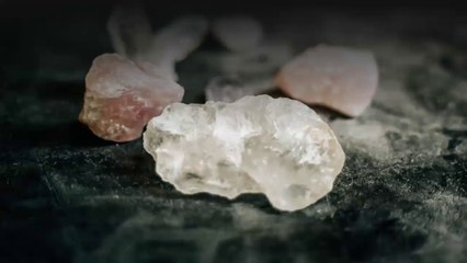 Primal Grow Pro Review