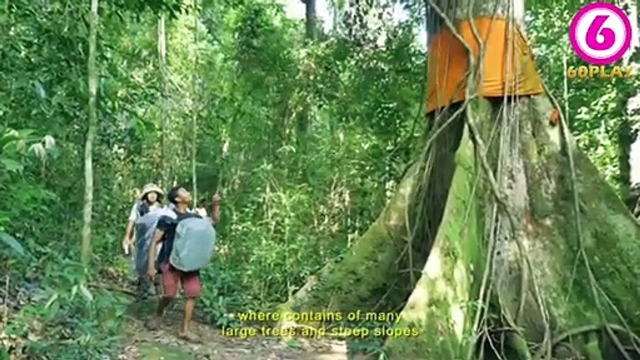 Cambodia Travel,Cambodia Touris, MRECH KONGKEP MOUNTAIN (ARENGS PARADISE) Koh Kong Province, 60PLAY HD, English Sub
