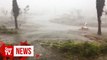 Bushfires, cyclone, torrential rain hit Australia's coasts