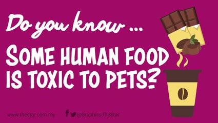 Do you know ... Some human food is toxic to pets?