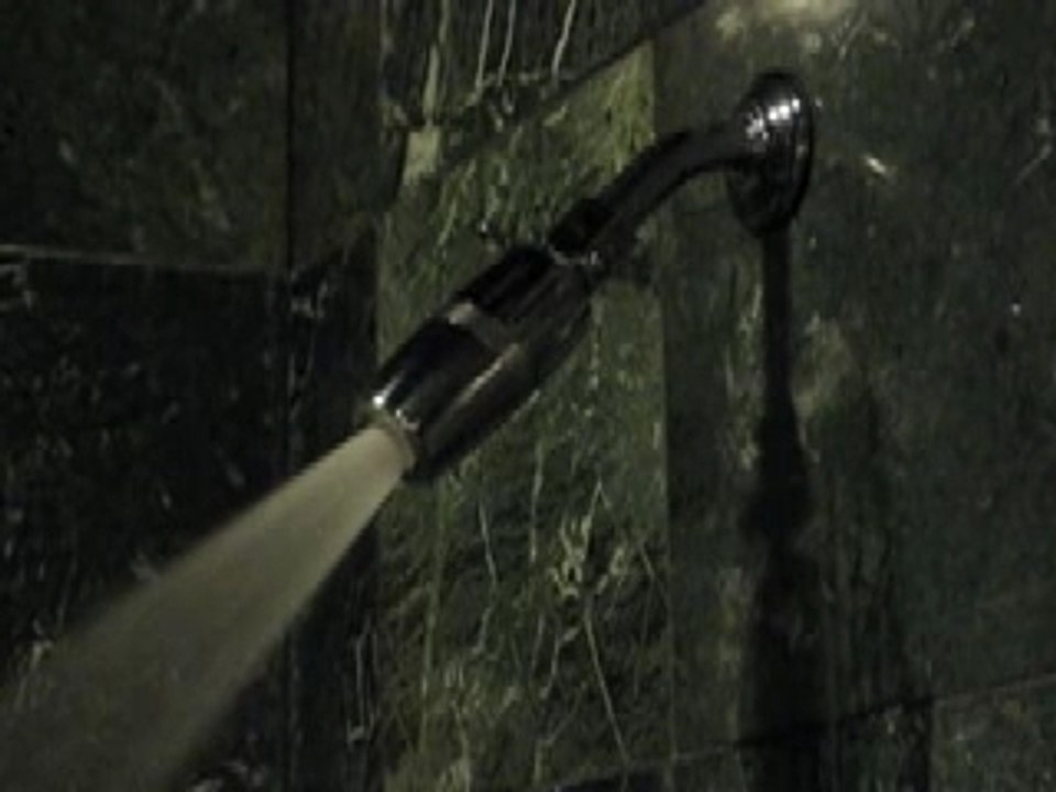 Elite 2.5GPM Water-Shaving Showerhead