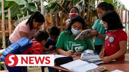 Ecuador teen teaches class under a tree for kids without internet