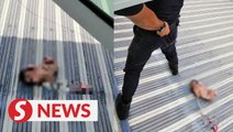 Baby boy found alive on house awning in Ipoh