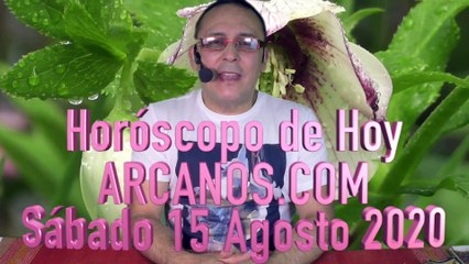 HOROSCOPO DE HOY de ARCANOS.COM - Sábado 15 de Agosto de 2020