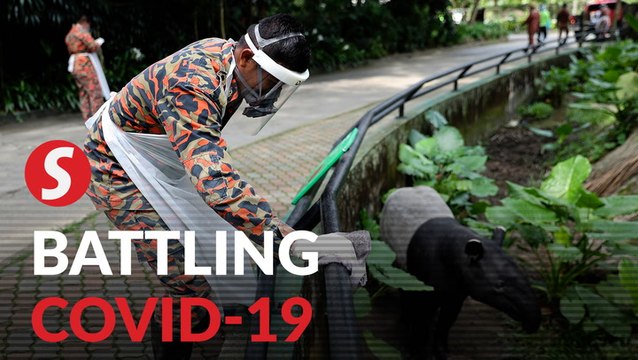 Zoo Negara undergoes disinfection