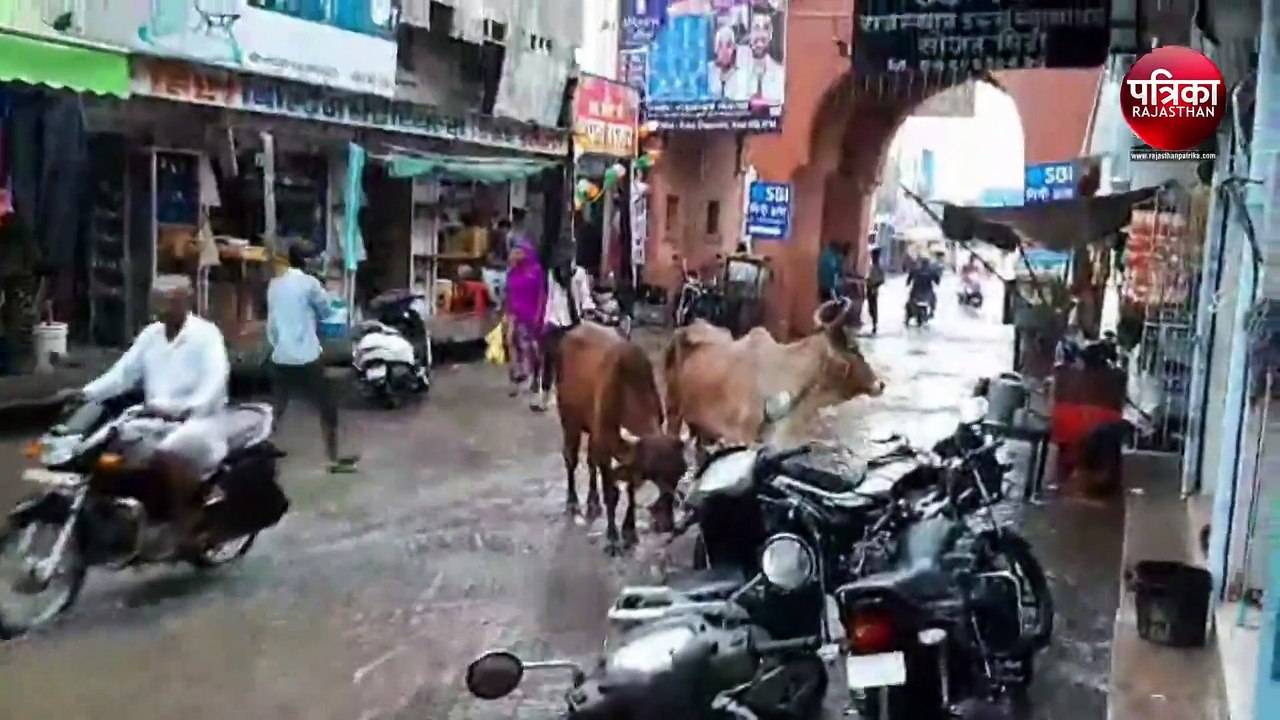 Watch video : यहां जमकर बरसे मेघ, नदी-नाले उफान...