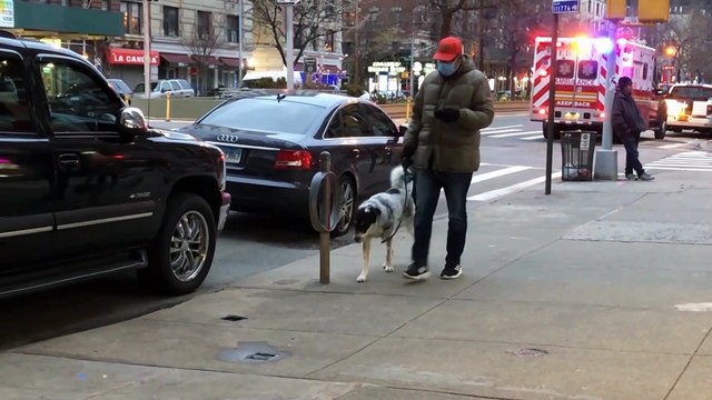 El coronavirus supera los 21 millones de contagios a nivel global