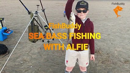 Watch This Video for Bass Fishing Tips and Tricks | Fishbuddy Directory