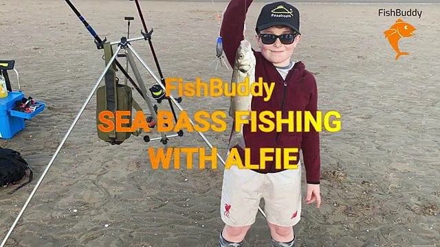 Watch This Video for Bass Fishing Tips and Tricks | Fishbuddy Directory