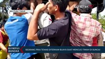 Seorang Warga Di Bangka Belitung Tewas Diterkam Buaya Saat Mencuci Timah di Sungai