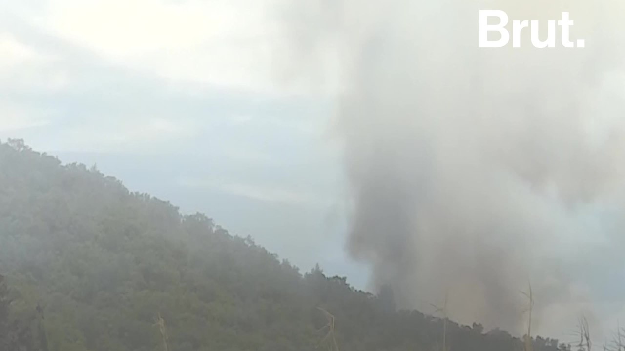 How to protect against forest fires