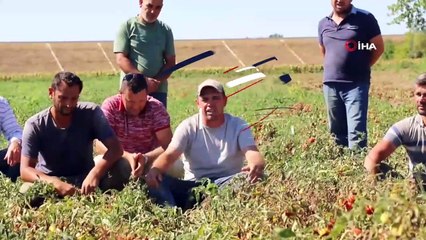 Üreticiler isyan etti: 4 kilo domates satıp 1 barçak çay içebiliyoruz 