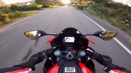 Deer Dashes Out in Front of Motorcycle