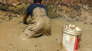 Catching Catfish in Muddy Water in Dry Season By Man | Animal Trap