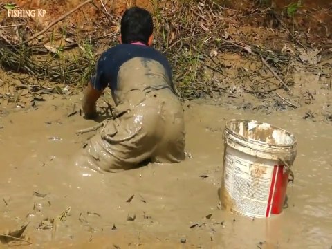 Catching Catfish in Muddy Water in Dry Season By Man | Animal Trap