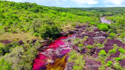 30 Cosas que NO te enseñan en la escuela [2]