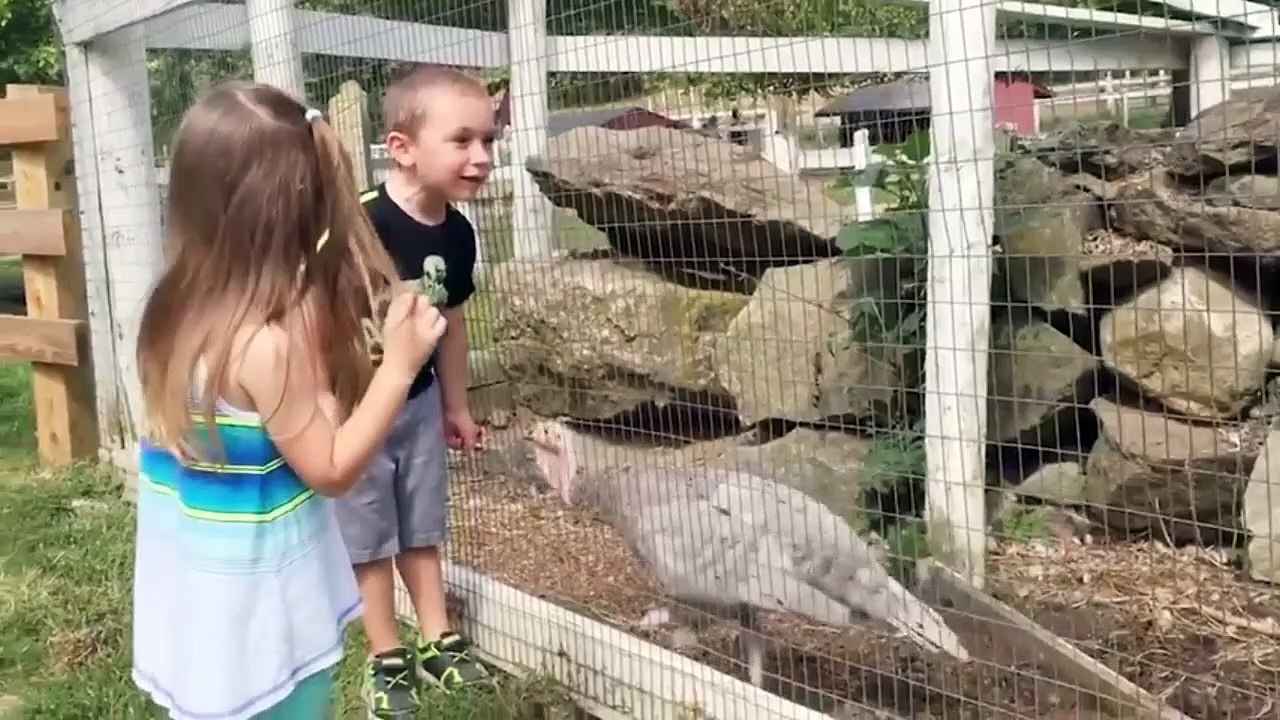 Baby and Bird 3