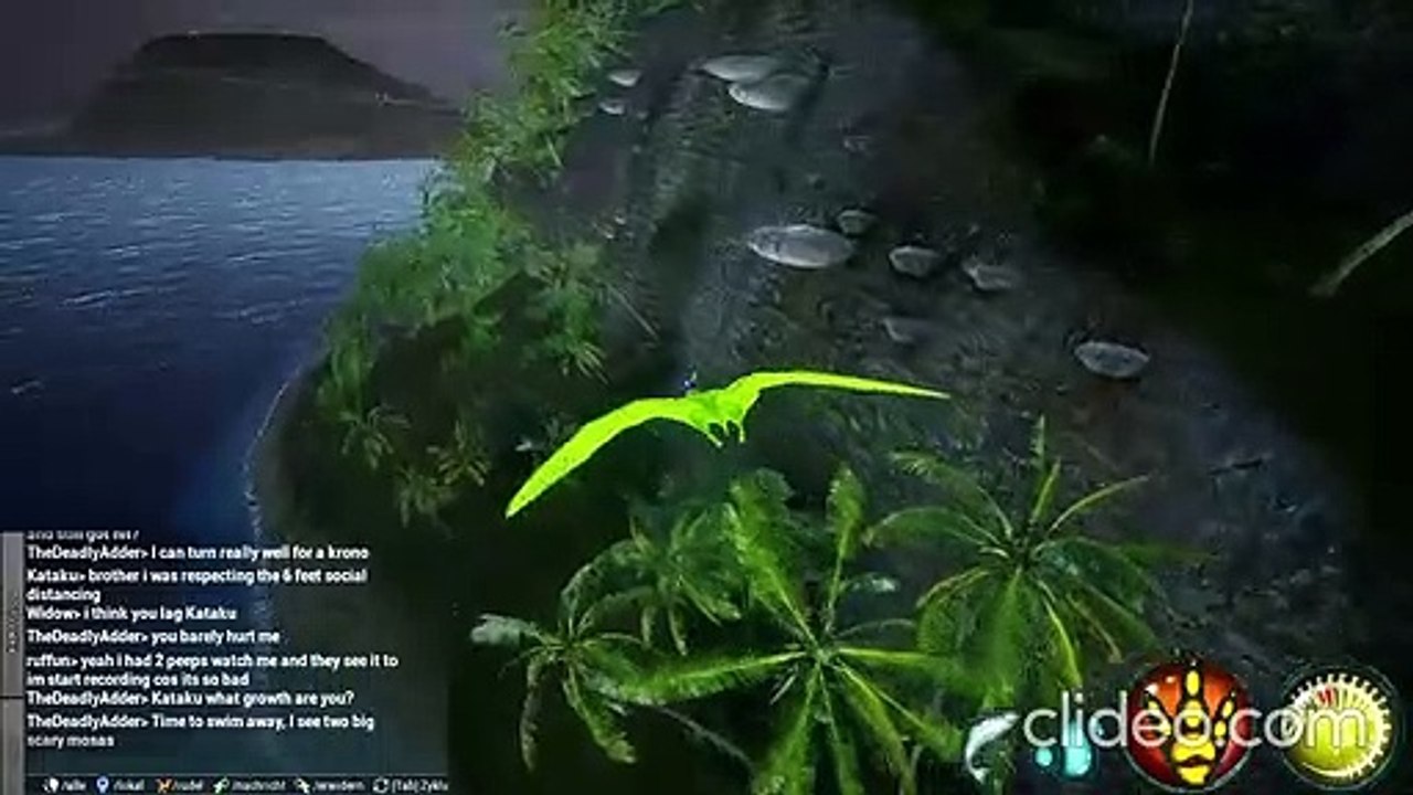 BoB - BUG Ptera dead