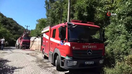 Evde çıkan yangın ormana sıçradı