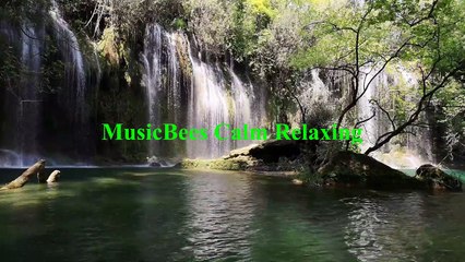 I Need to Start Writing Things Down