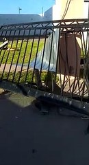 ¡En el primer día! OP Ecología se lleva portón de ‘corbata’ en fraccionamiento de Los Mochis