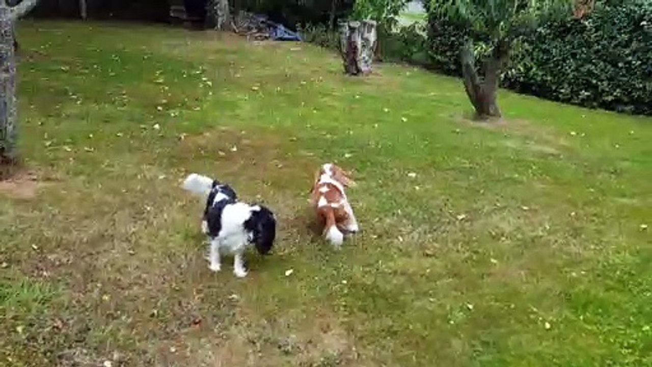 jeux au jardin suite