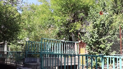 Öldüğü iki ay sonra anlaşıldı