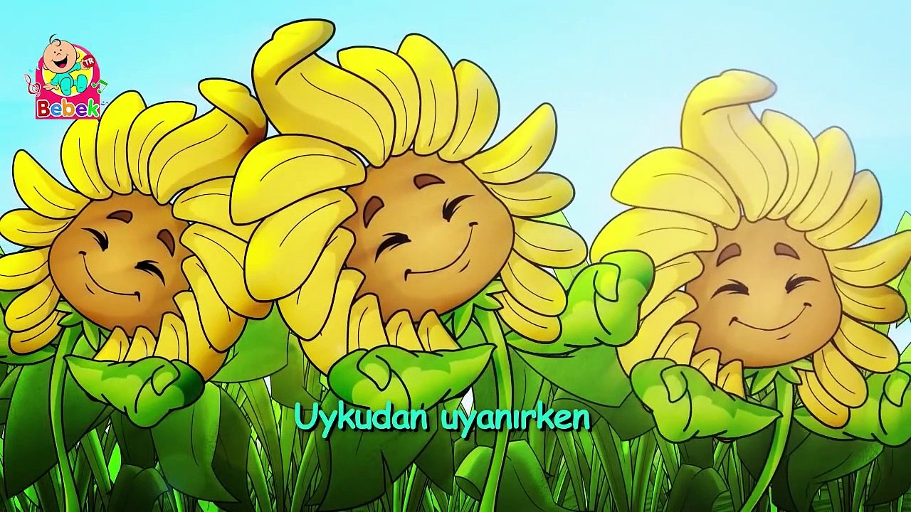 Güneş - Türkçe