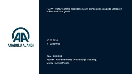 Makilik alanda çıkan yangın kontrol altına alındı - HATAY