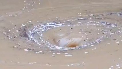 Small whirlpool forms in flooded yard in Virginia