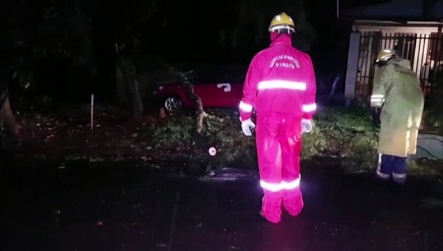 Pioneiros Catarinenses: galhos de árvore caem sobre a rua e Bombeiros são mobilizados