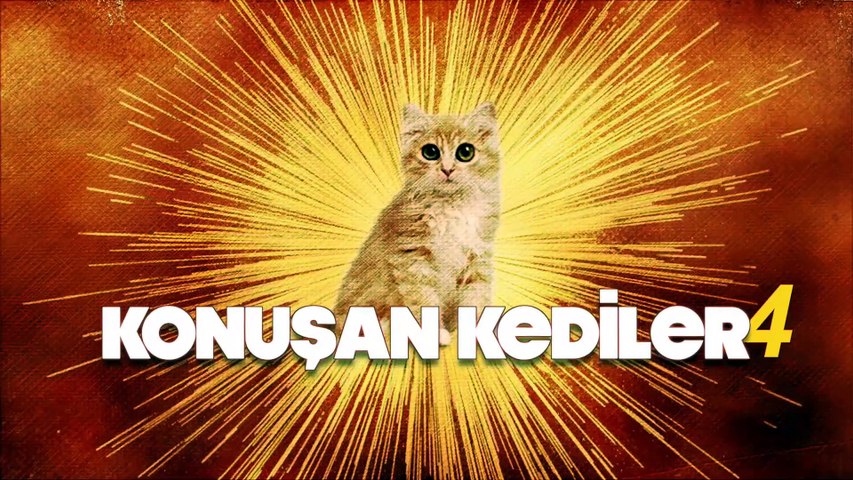 Konusan Kediler 4 En Komik Kedi Videolari Dublaj Turkey Dailymotion Video