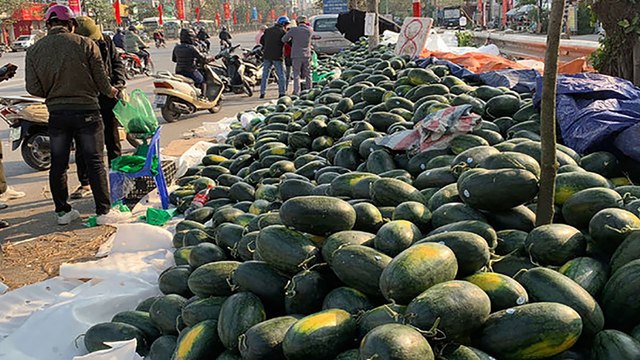 Xuất khẩu nông sản gặp khó vì Covid-19