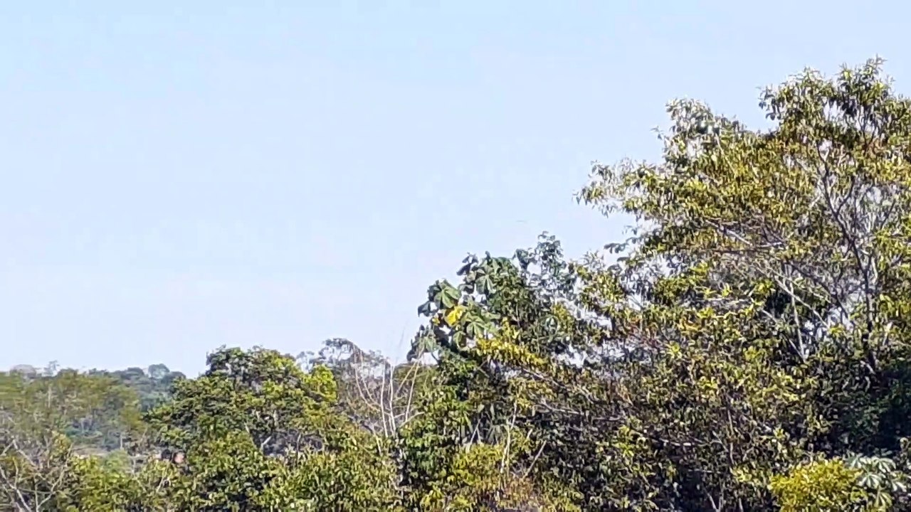 [SBEG Spotting]Boeing 767-300ER PT-MSZ na final antes de pousar em Manaus vindo de Guarulhos(15/08/2020)