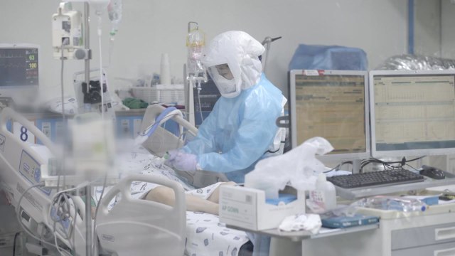 신규 확진 279명... 수도권 교회발 감염 폭증 / YTN