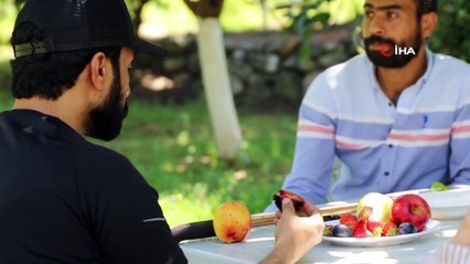 Bu bahçenin meyvesini turistler dalından yiyor