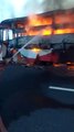 फिरोजाबाद: यात्रियों से भरी बस पुल से टकराई, एक की मौत, 3 गंभीर रूप से घायल