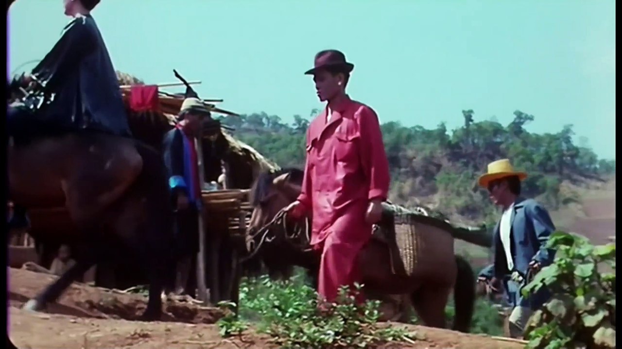 Golden triangle campaign Action movie  English Vietsub HD Films part 2