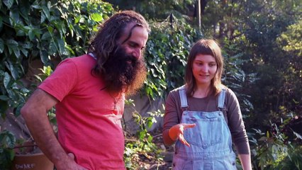Gardening Australia episode 22 2020