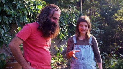 Gardening Australia episode 22 2020