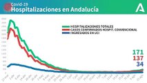 Gráfico con la evolución de los ingresos hospitalarios por coronavirus en Andalucía. COVIDー19