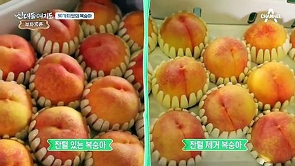 복숭아 매출, 15일 동안 무려 2천만 원?!